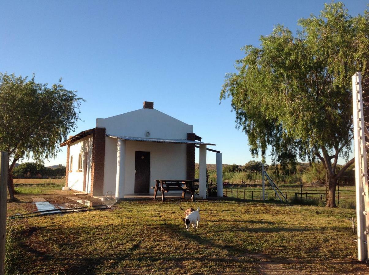 Ditsem Guest Farm Ъпингтън Екстериор снимка